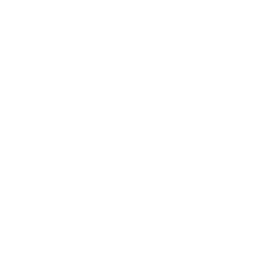 Corda elastica